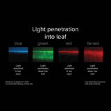 Mammoth Lighting Mint 6 Bar | 680W, Emerald Green Spectrum | PRE-ORDER - Ships ~30 days from order date