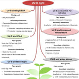Mammoth Lighting 10 Bar UV Spectrum Enhanced LED Grow Light | PRE-ORDER - Ships Mid-May