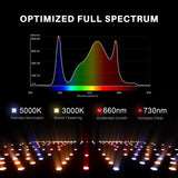 Spider Farmer 2024 Upgrade 2’x4’ Complete Grow Tent Kit丨SF2000 301H EVO Full Spectrum LED Grow Light丨6” Clip Fan丨4” Ventilation System with Temperature and Humidity Controller