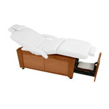 Touch America Viola Electric Massage Table -11650
