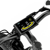 Aostirmotor Storm 750W 48V Fat Tire Electric Bike