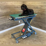 Avante Animal Health Scissor Veterinary Table with Built-In Scale - 70220ZMBIS