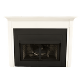 Buck Stove Model 1110 10,000 BTU's Vent Free Gas Stove New - NV-11102LP+FA-P12