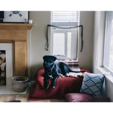 Endura Flap by Patio Pacific - Thermo Sash 3e - Sash Window Cat & Dog Door - 07EF-A10SS-1W-3DC