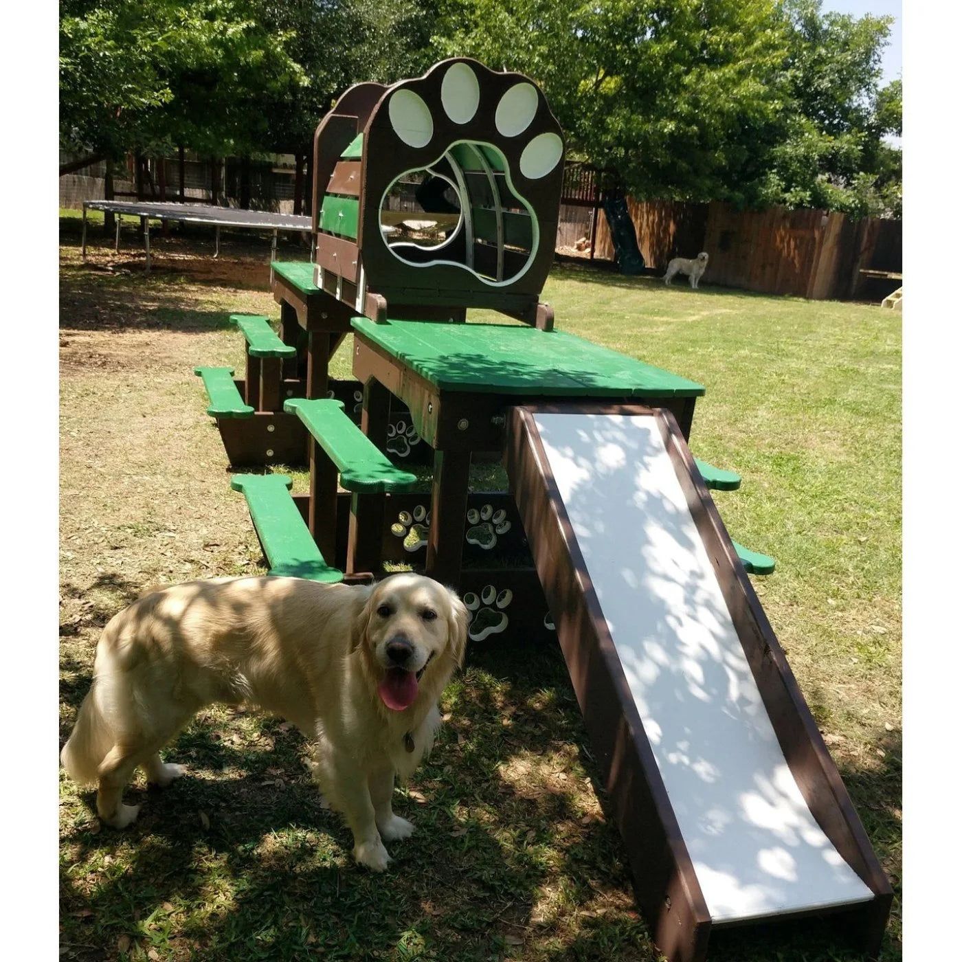 Puppy Scapes Double Platform elevated with Tunnel - PS-DPEWT