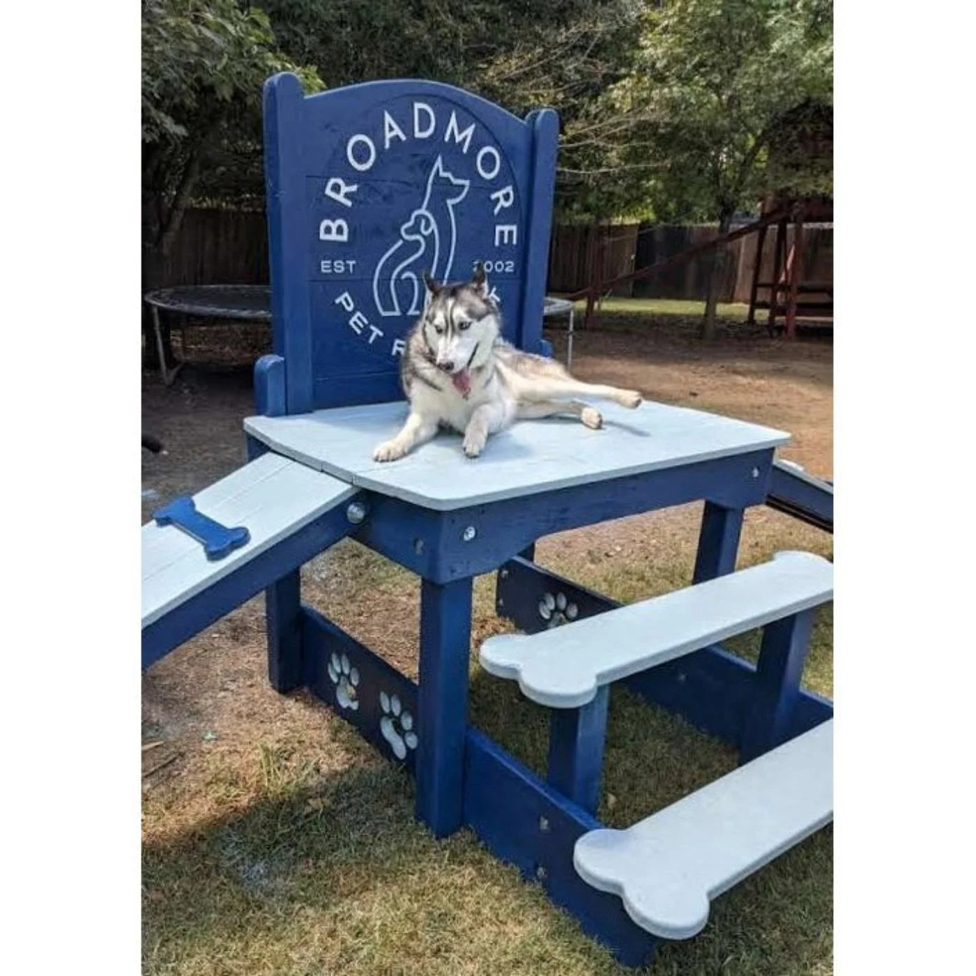 Puppy Scapes Double Ramp w/ Your Logo - PS-DRWYL