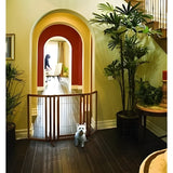 Freestanding Dog Pet Gate With Door - Richell Premium Plus - 94193