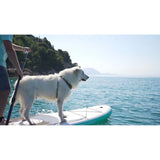 SipaBoards Drive Neo Silver Motorized SUP