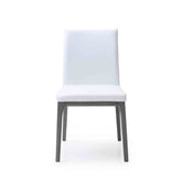 Whiteline Mods - Stella Dining Chair - DC1454