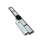 Scynce LED Raging Kale II