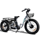 Emojo Caddy 500W 48V Fat Tire Electric Tricycle - EBK12-04