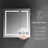 Blossom Asta – 30 Inches LED Medicine Cabinet - MCL2 3032 - Backyard Provider