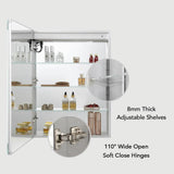 Blossom Vega – 20 Inches LED Medicine Cabinet - MCL4 2032L - Backyard Provider