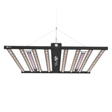 Wholesale Spectrum Y Wireless