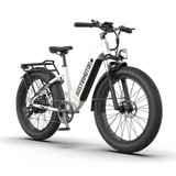 Aostirmotor QUEEN 1000W 52V All Terrain Step-Thru Fat Tire Electric Bike
