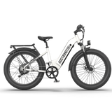 Aostirmotor QUEEN 1000W 52V All Terrain Step-Thru Fat Tire Electric Bike