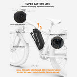 Aostirmotor Storm 750W 48V Fat Tire Electric Bike