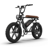 Aostirmotor Storm 750W 48V Fat Tire Electric Bike