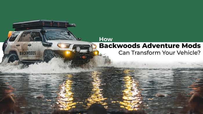 The Essential Guide to ZLINE Refrigerators: Elegance Meets Efficiency