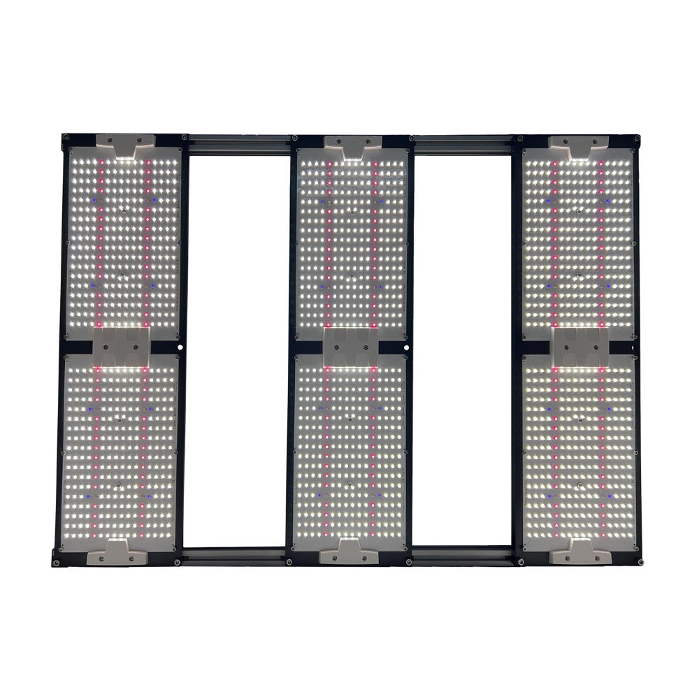 HighGrove Lighting Magnolia 6 EVO