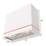 Akicon Stainless Steel Range Hood 36", 600 CFM Wall Mount Vent Hood with Powerful Vent Motor, Modern Box Kitchen Hood with LED Lights, Charcoal Filter, AK-HS36HA-SWC-48