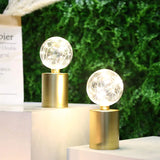 Adonte Metal Novelty Lamp (Set of 2)