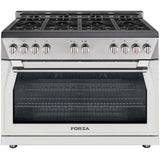 Forza Door Color Kit for 48" Range Includes Full Dock and Toe Kick - FA48DK