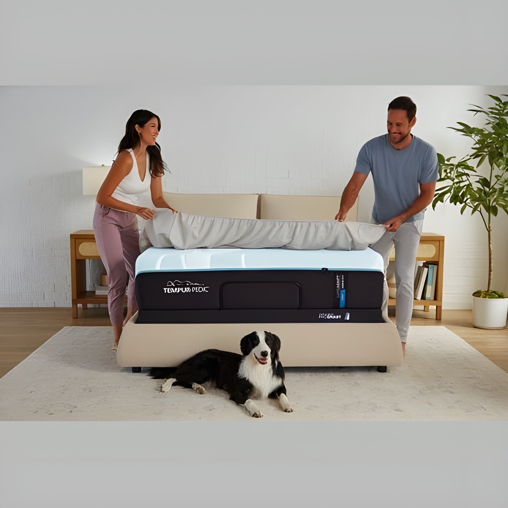 TEMPUR - Pro Adapt Mattress Collection