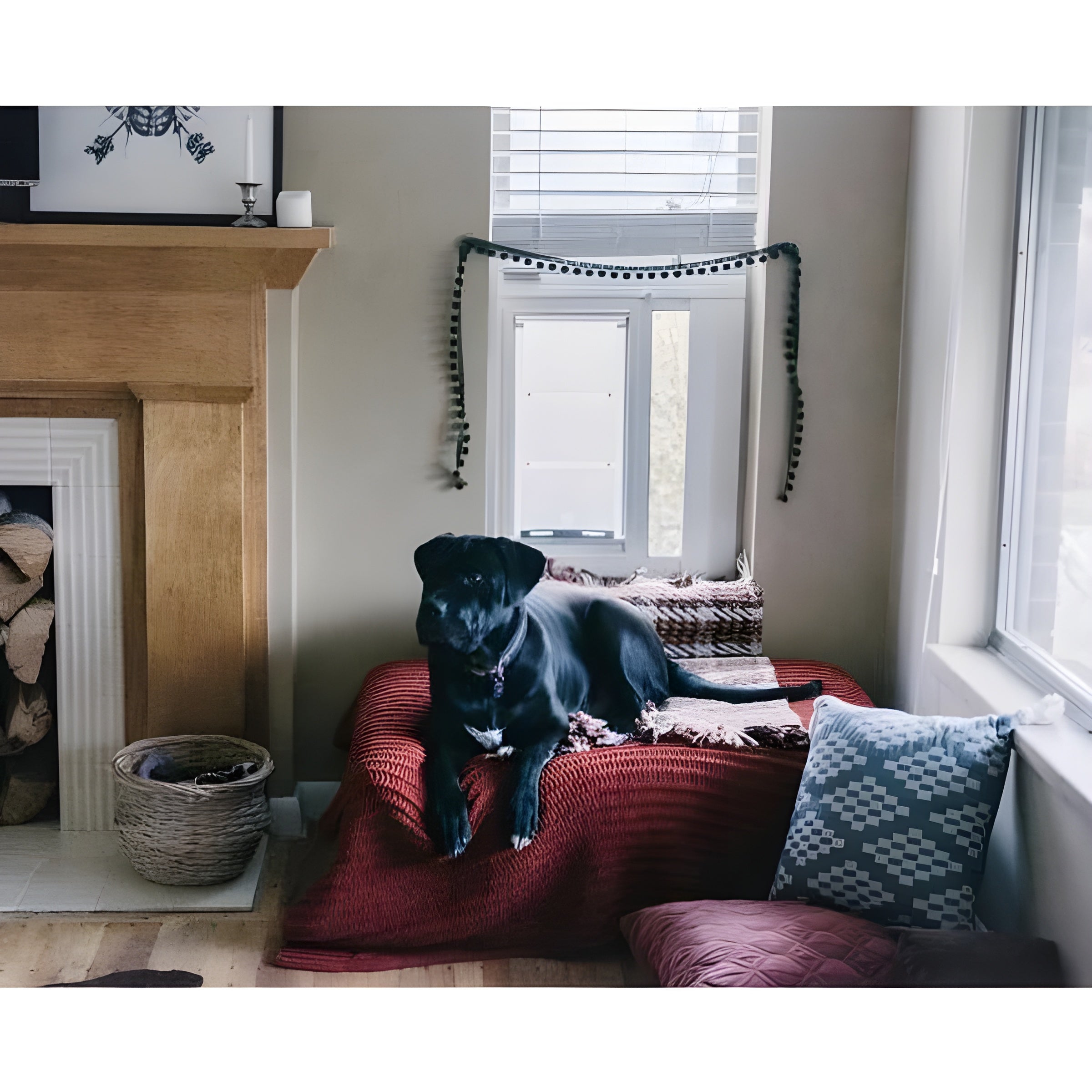 Endura Flap by Patio Pacific - Thermo Sash 3e - Sash Window Cat & Dog Door - 07EF-A10SS-1W-3DC