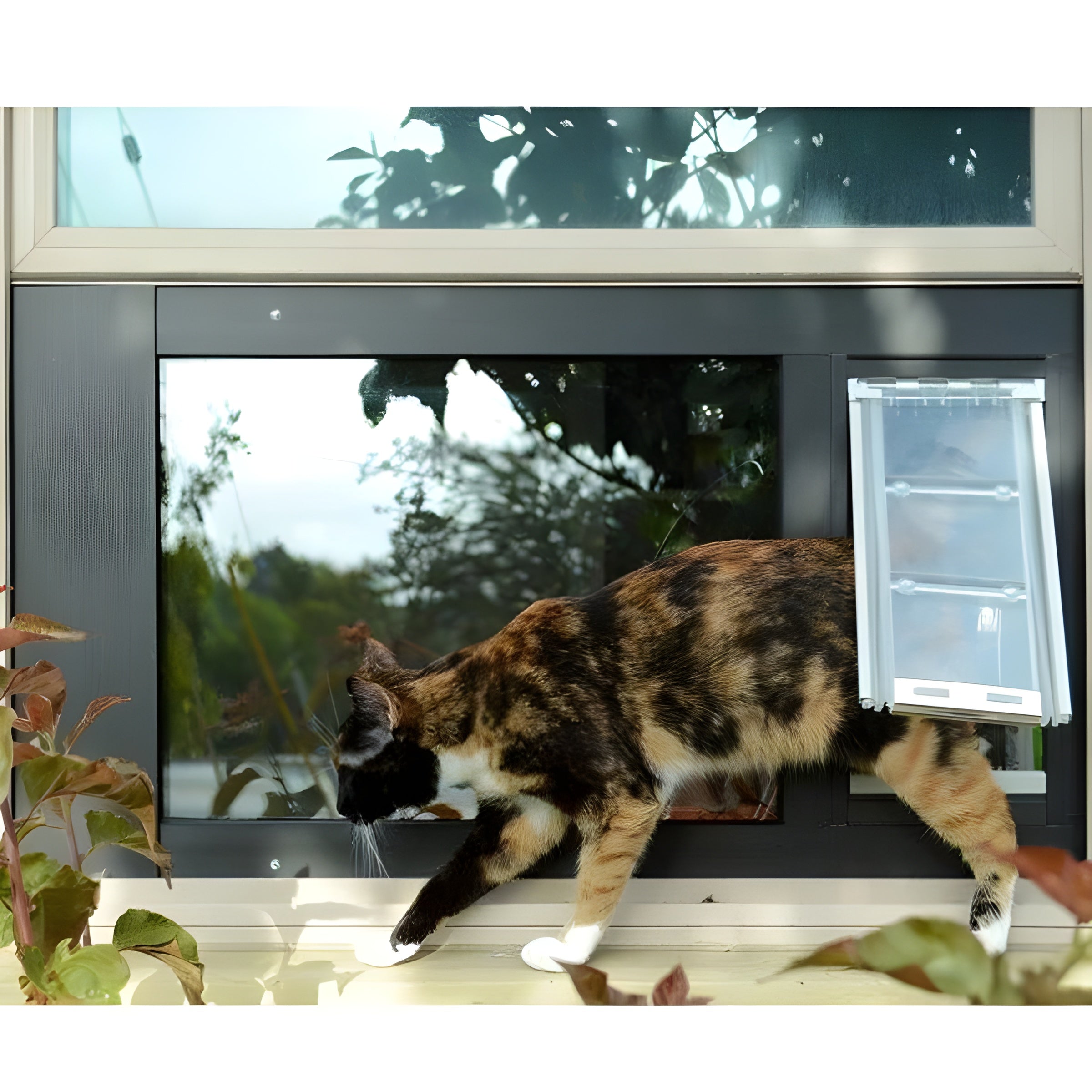Endura Flap by Patio Pacific - Thermo Sash 3e - Sash Window Cat & Dog Door - 07EF-A10SS-1W-3DC