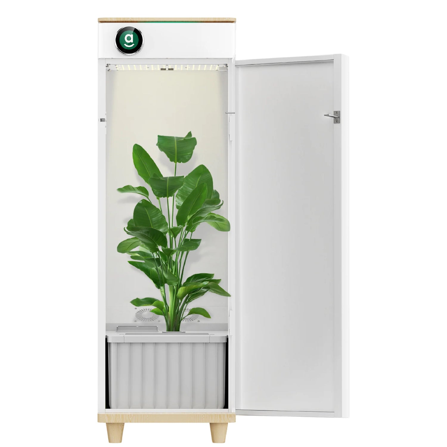 Hey abby Automated Grow Box 420 Edition - HEY-420-3
