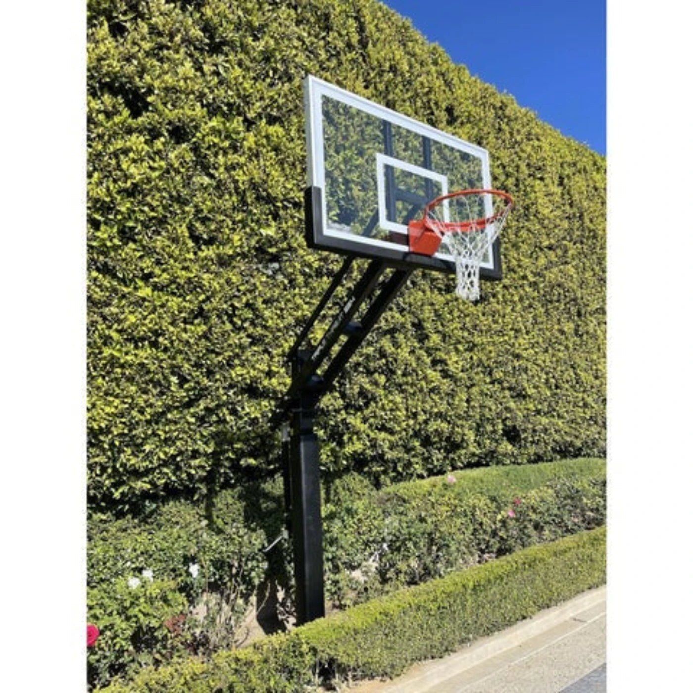 Ironclad Triple Threat 36x60 Adjustable In-Ground Basketball Hoop - TPT554-LG