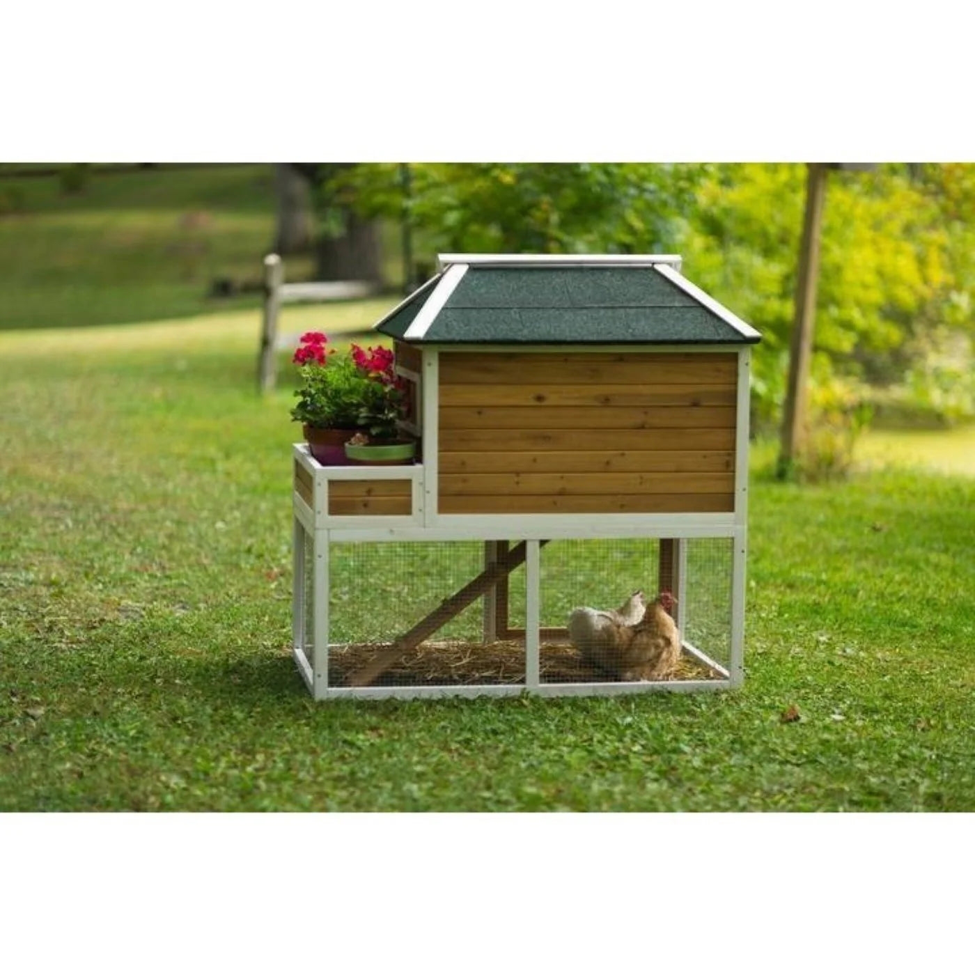 Prevue Pet Chicken Coop with Herb Planter - 4701