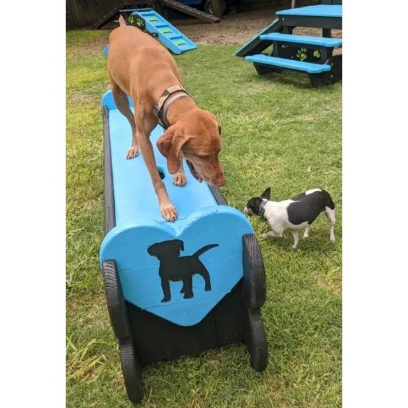 Puppy Scapes Seat / Toy Storage Container - PS-STSC