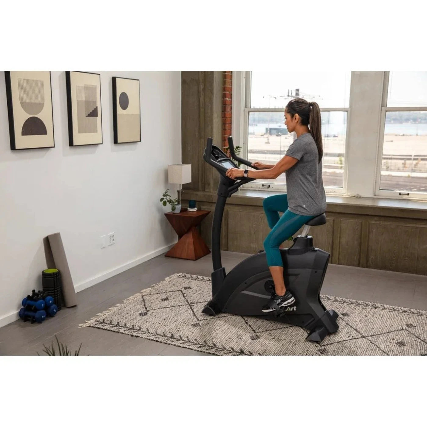 SportsArt Residential Recumbent Bike - C55R