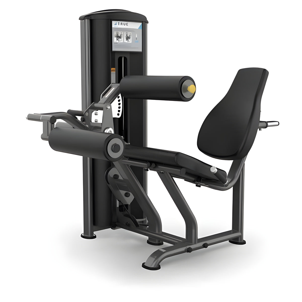 True Fitness Line Seated Leg Curl - FS-61