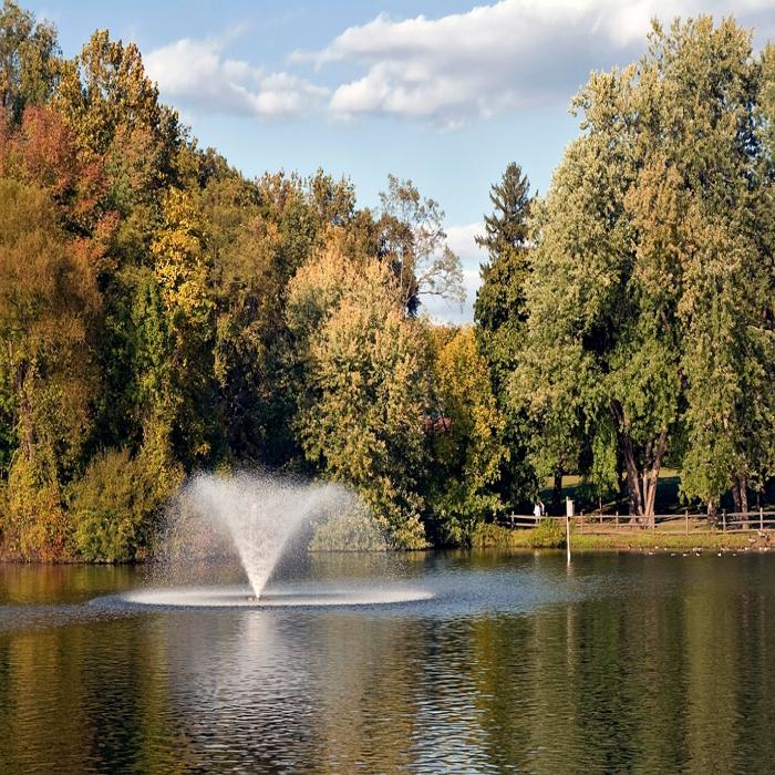 Scott Aerator DA-20 Display Fountain Aerator 2HP
