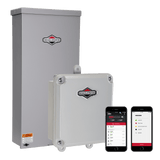 Briggs and Stratton 071271 200-Amp Service Disconnect Outdoor Automatic Transfer Switch New